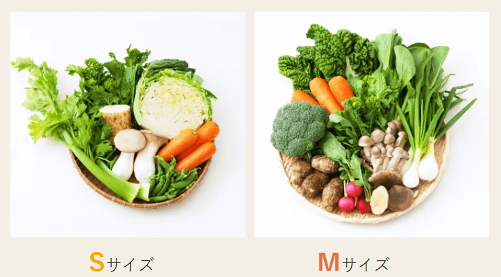 坂ノ途中はSとMの2サイズから選べる
