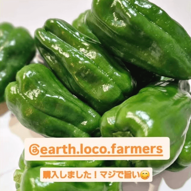 ロコピーマン-インスタグラム-お客様の声1