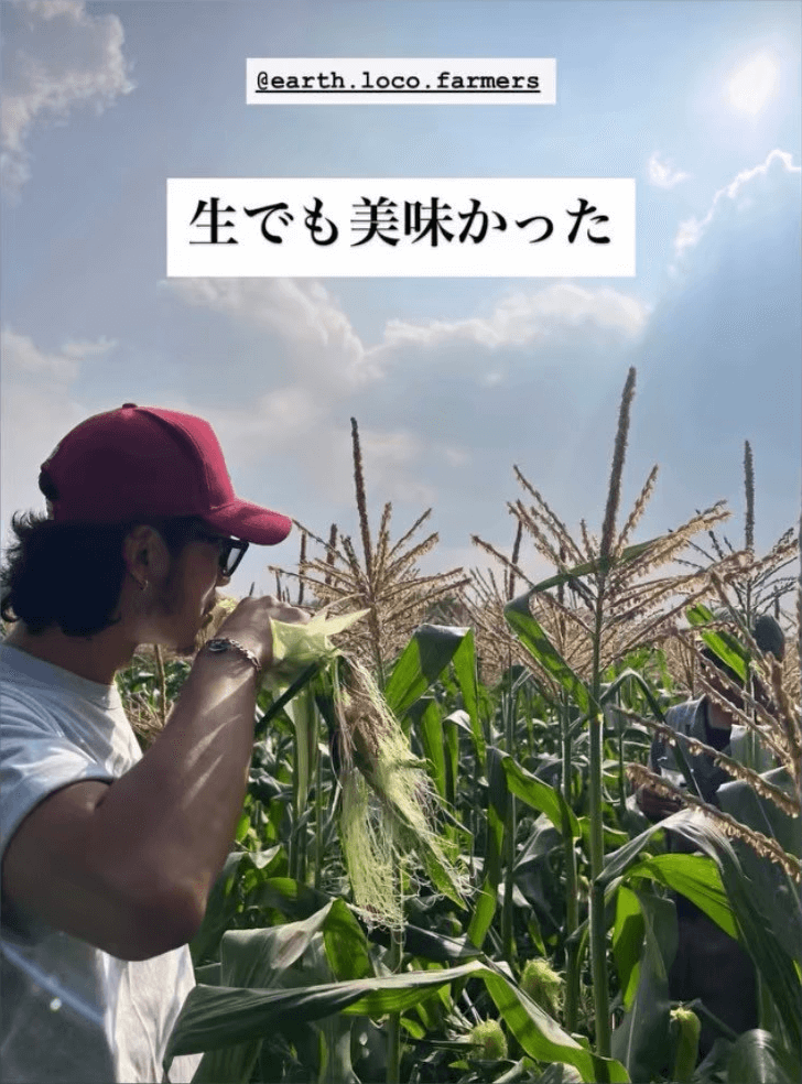ロコスウィート-インスタグラム-お客様の声1