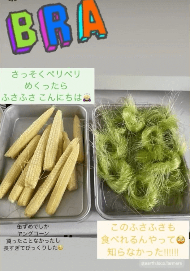 朝採れ皮つきヤングコーン-インスタグラム-お客様の声2